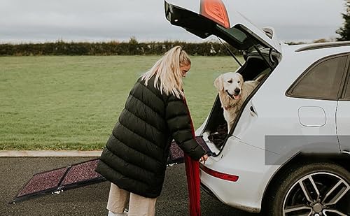 Miniatura 2 de LEQOS Rampa plegable para perros para autos, camiones, SUV, rampa portátil para mascotas para perros grandes, gatos y perros, rampa para cama,