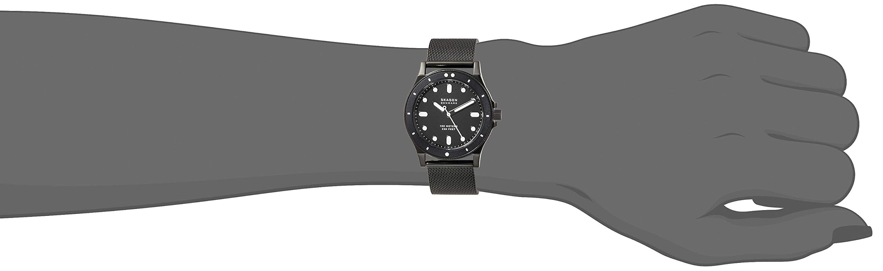 Amazon.co.jp: [スカーゲン] 腕時計 FISK SKW2917 レディース