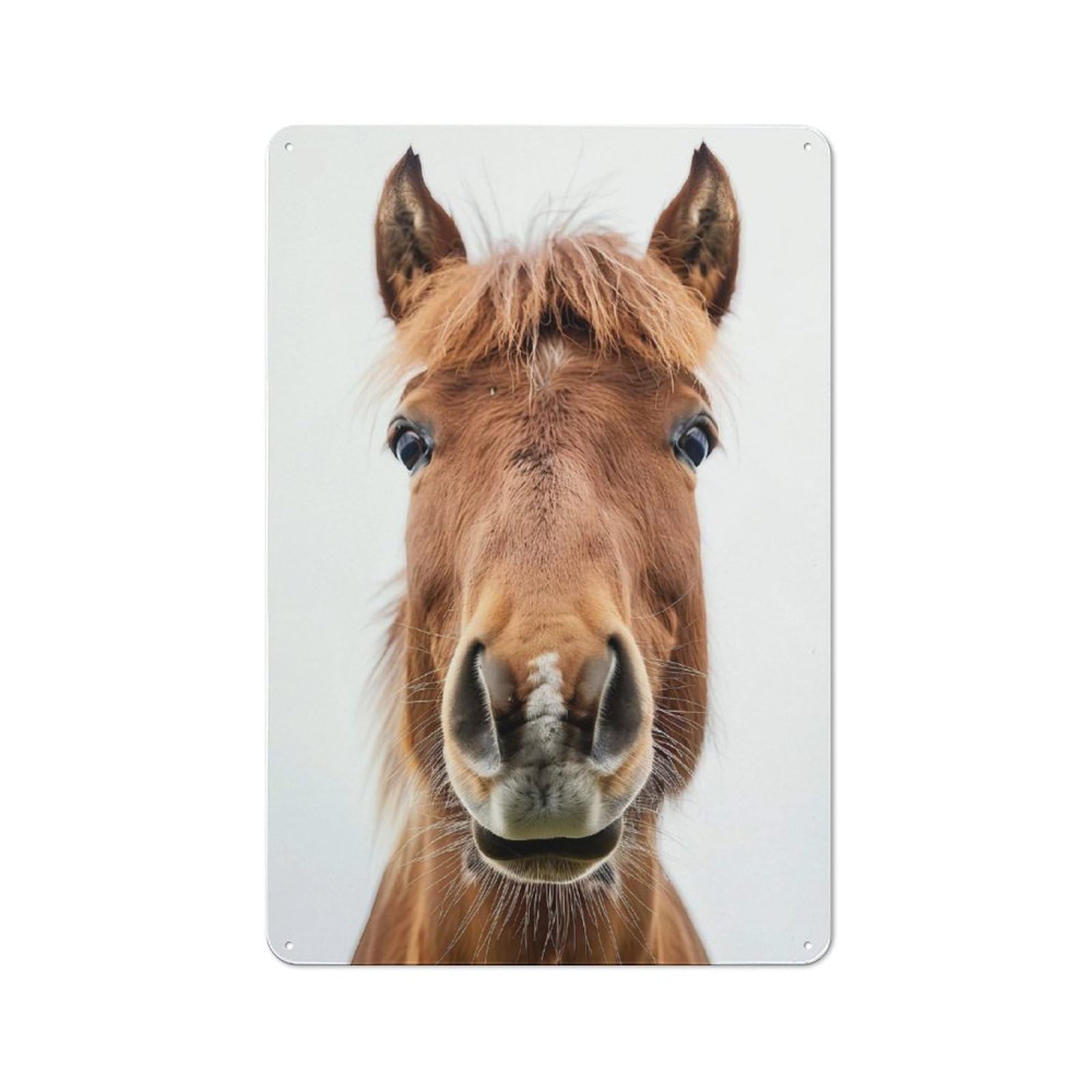 Junmoney Style-24 Horse Face Retro Tin Wall Plaque 30X20cm For Hobby Room Or Studio, For Garage, Workshop And Man Cave Decoration
