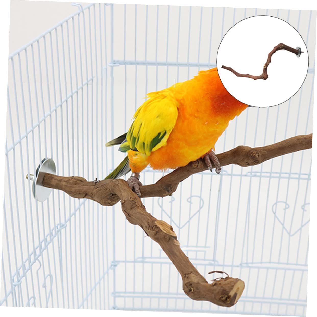 DOITOOL 3pièces Perchoir à Oiseaux Bois Naturel pour Perroquets Jouet Entraînement pour Oiseaux Accessoire De Cage Soulagement De Ennui Aléatoire