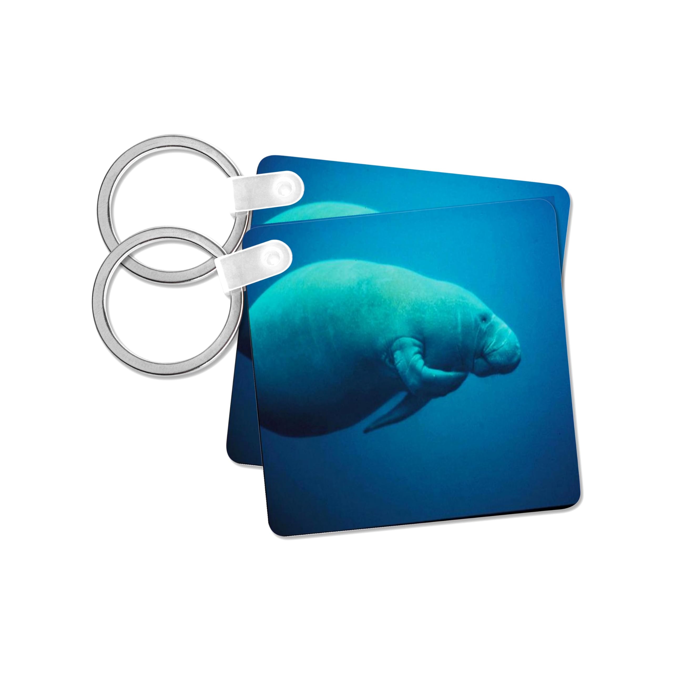 3dRose, Cute Picture Of Florida Manatee Scratching Itself, Key Chain