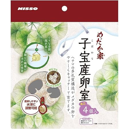 Amazon マルカン めだか家子宝産卵室 ミニ 4個入 マルカン オーナメント 通販 Amazon マルカン めだか家子宝産卵室 ミニ 4個入 マルカン オーナメント 通販