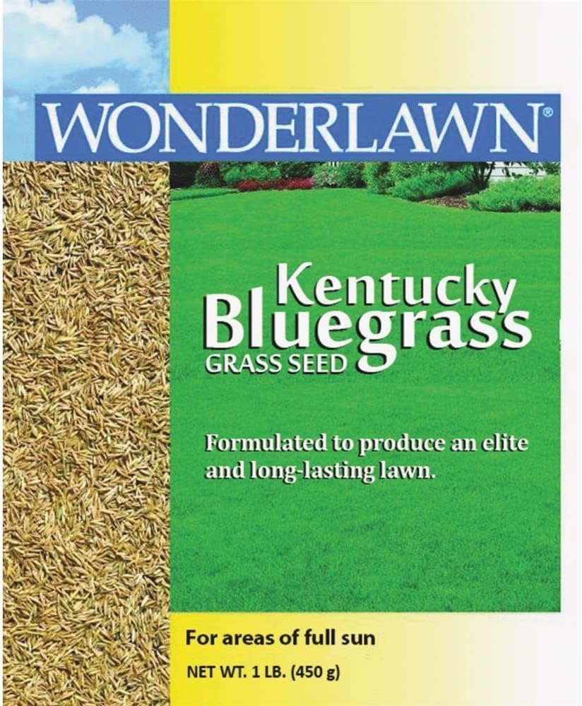 Barenbrug USA 50201 Kentucky Bluegrass Grass Seed