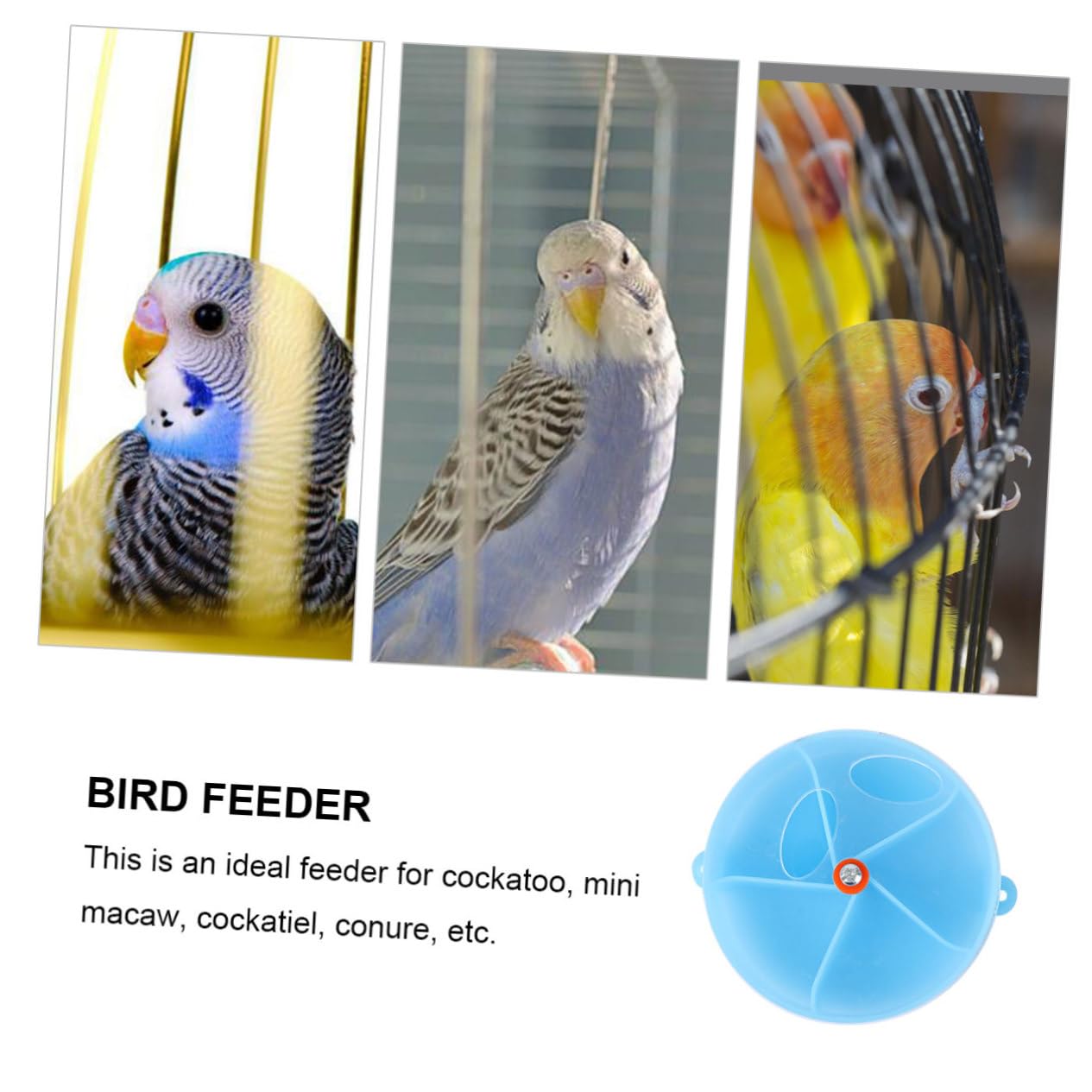 Beaupretty 3pièces Distributeur Interactif pour Oiseaux Jouet à Mâcher pour Perroquets Boîte De Foraging Forme De Roue Bleu pour Cockatiels Et Conures