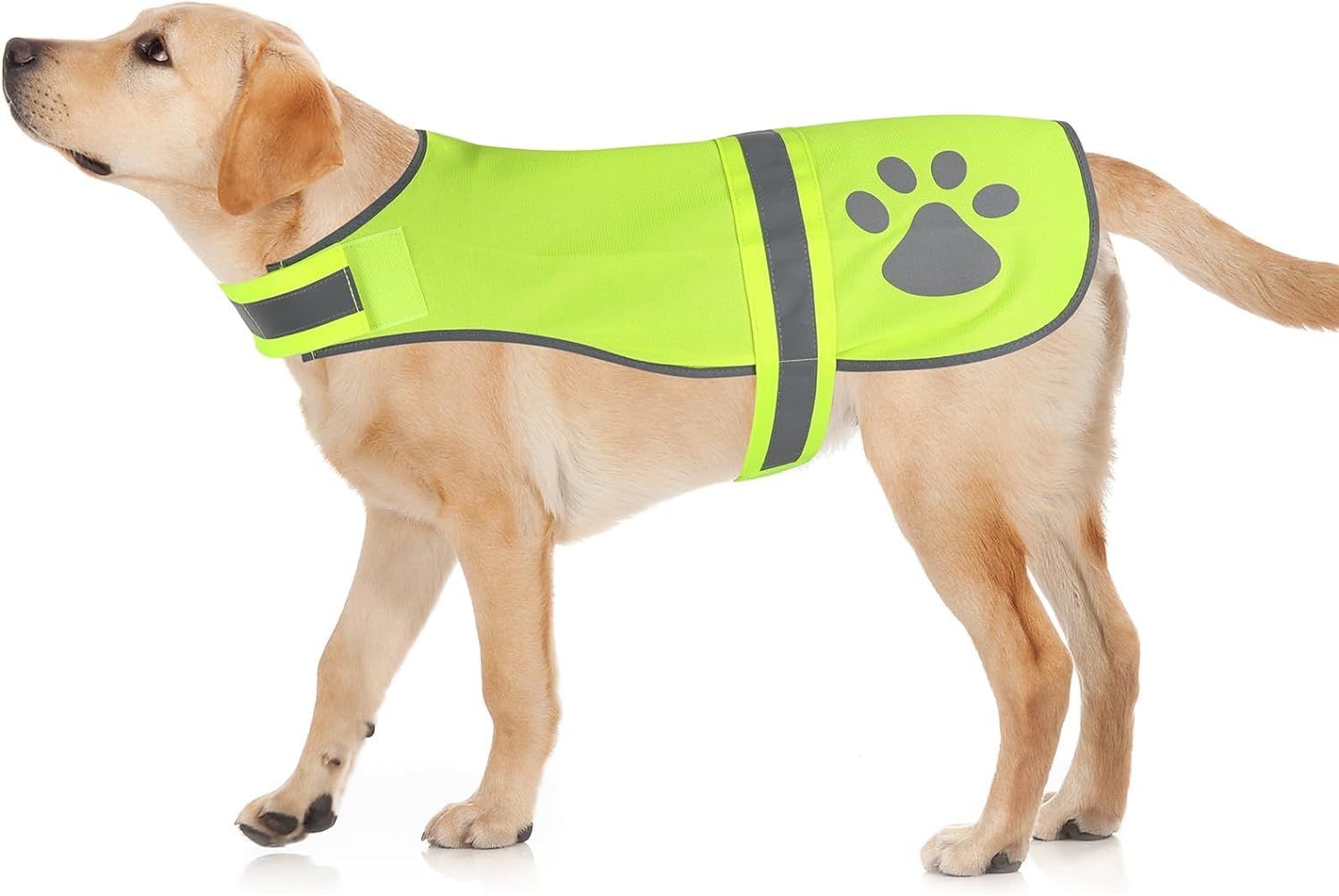 Amazon | [Jinnex] 犬の服 反射ペットベスト ペット反射服 犬の安全