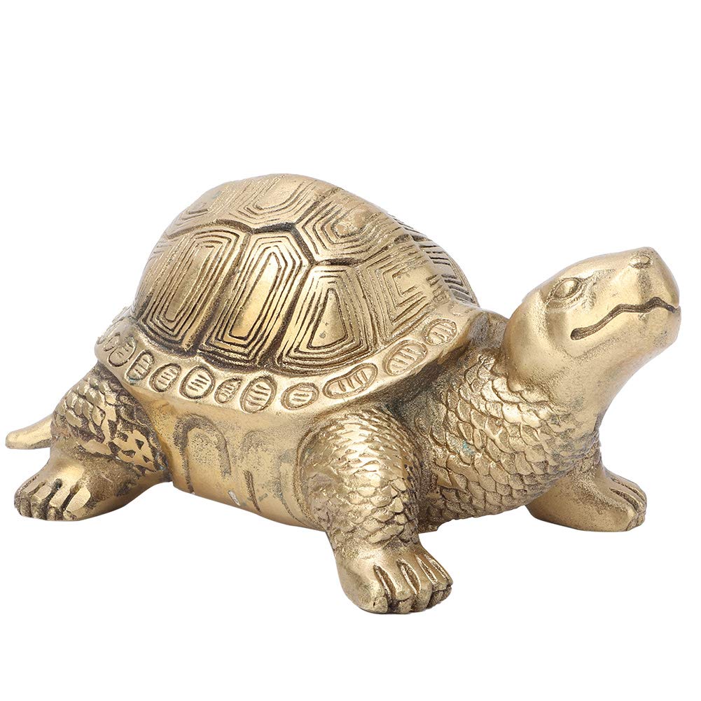 Amazon.com: Obetuens Br ss Tortoise St tue for od He lth