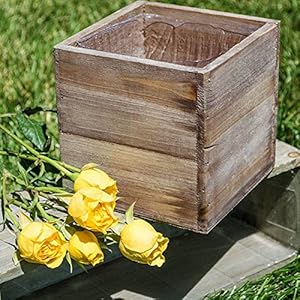 Wood Planter Box, 5 Inch Square, Rustic Barn Wood, Plastic Liner, Garden Centerpiece Display, Wedding Flowers Holder, Home and Venue Decor, (Set of 4) Wood Planter Box 5 Inch Square Rustic Barn Wood Plastic Liner Garden Centerpiece Display Wedding Flowers Holder Home and Venue Decor Set of 4