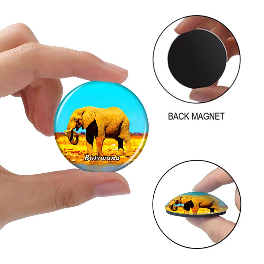 Magnete Da Frigorifero A Forma Di Cuore - Souvenir Di Viaggio Botswana - Vetro Decorativo 5,1x4,5x1,1cm
