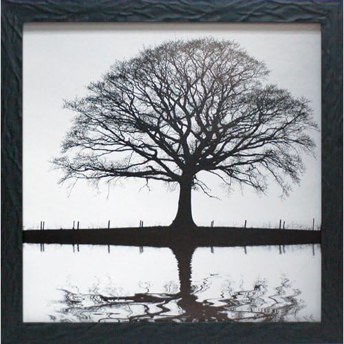 Shimmering Oak Wall Art Amazon.ca Home