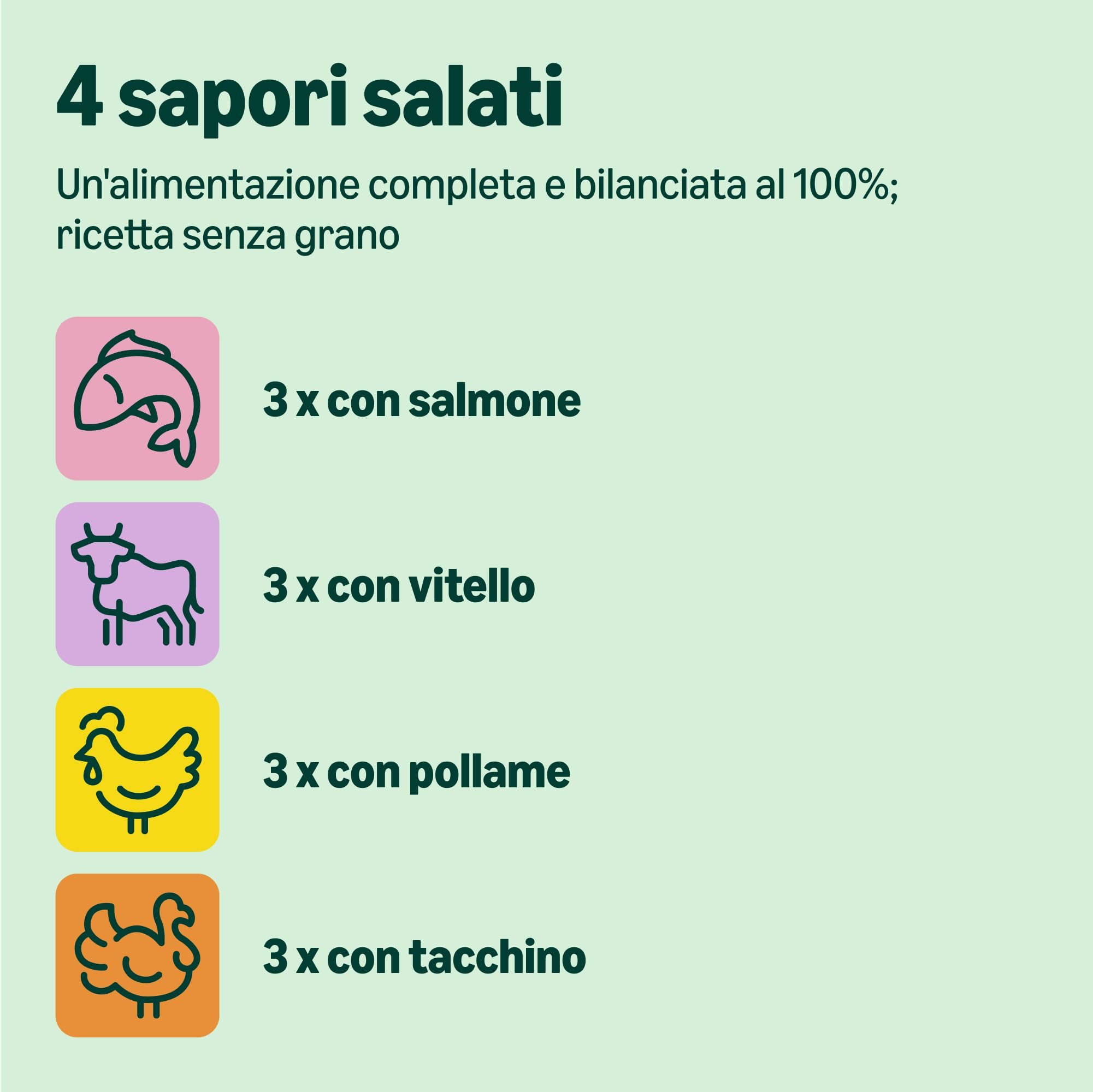by Amazon Alimento completo per cuccioli di gatto, Selezione mista in gelatina, 1.2kg (12 sacchetti da 100g)