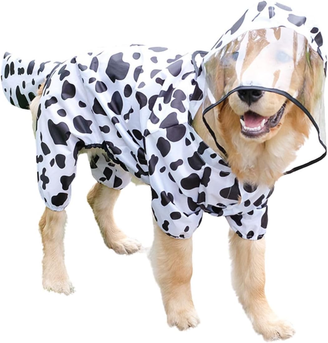 BT Bear Large Dog Raincoat