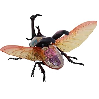VENEZIANA Human Anatomical Model, 4D Beetle Anatomical Models Internal Organ Skeleton Group Assembly Model Detachable Simulation Animal Insect Doll Decoration Medical Models