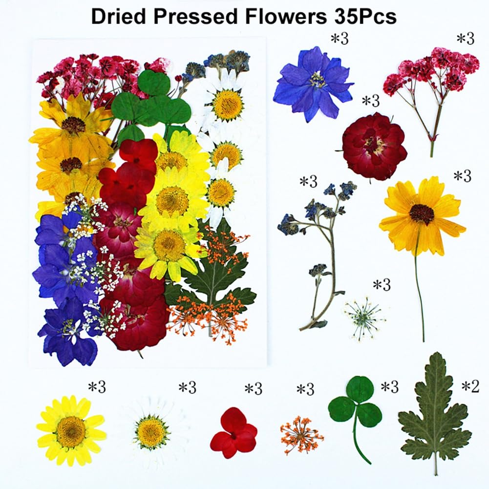 35PCS Pressed Flowers for Resin molds Colorful Dried Pressed Flower Leaves for Resin Jewelry Making Dry Flowers for Scrapbooking Crafts DIY Soap Candles Making Nails Décor Style 1