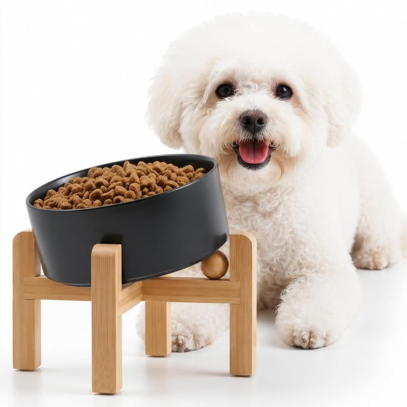 Comedouro elevado para gatos e cães pequenos em cerâmica inclinada 15° Petygooing, preto, 400 mL