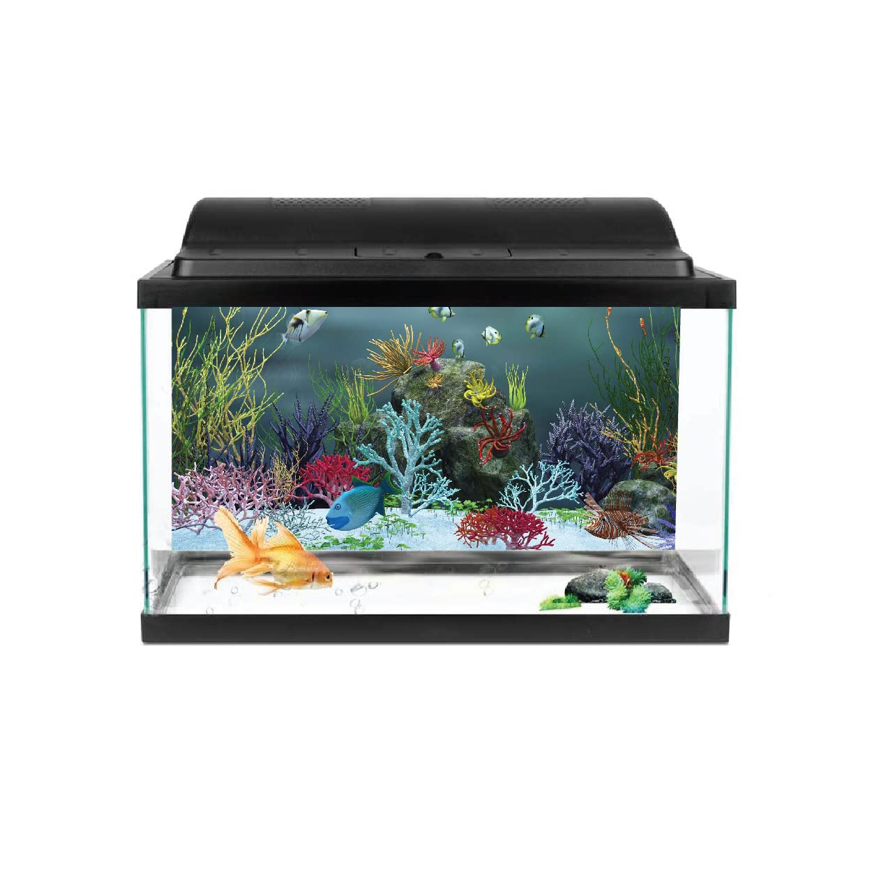 VVWV® Aquarium Background for Fish Tank Waterproof Vinyl Printed Multicolored Sticker (Ocean) (61 X 41 CMS) (B0BX63VRPB) Amazon Price History, Amazon Price Tracker