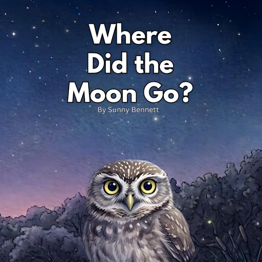 Where Did the Moon Go?
