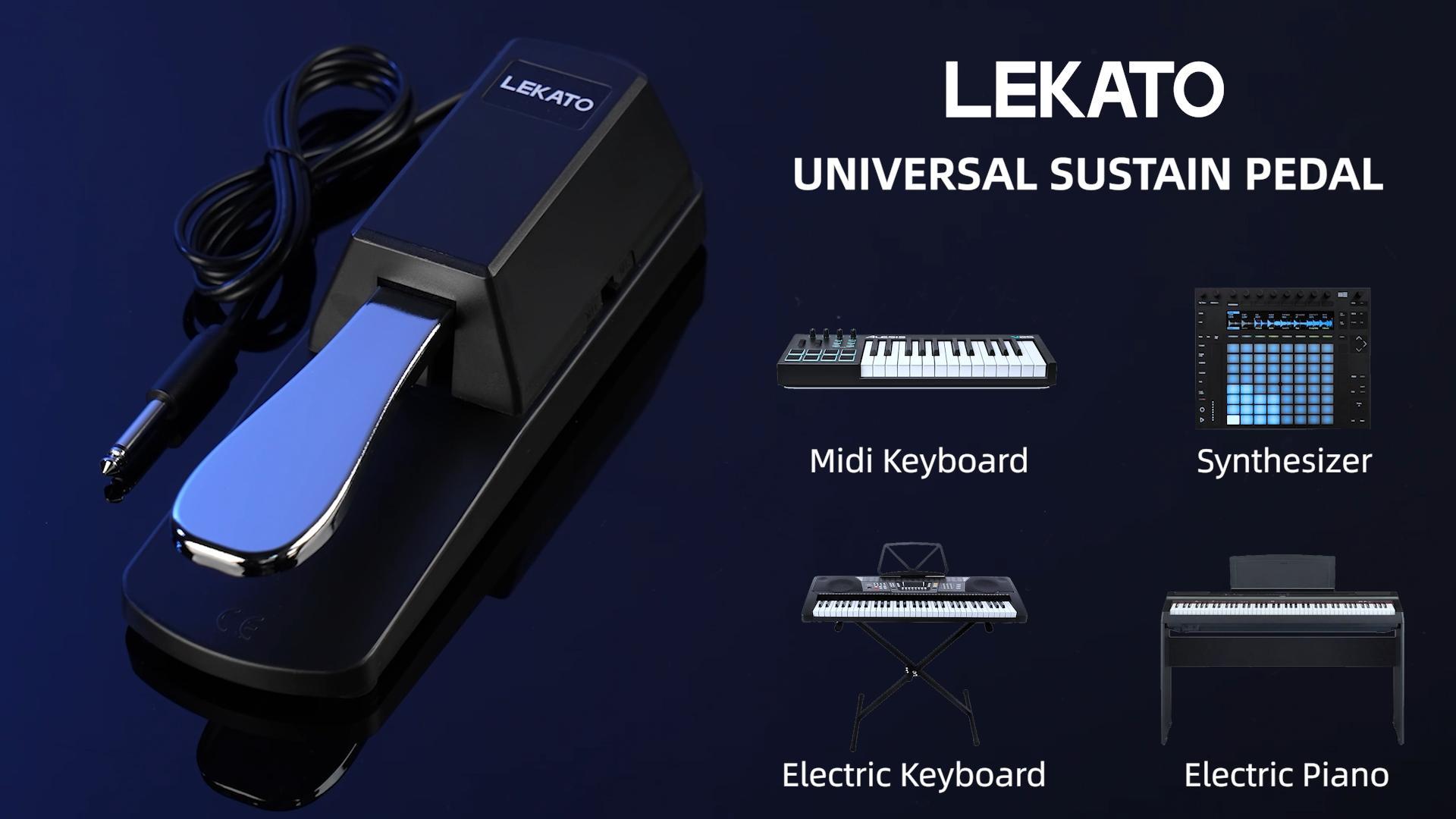 Amazon.com: LEKATO Sustain Pedal for Keyboards Midi Digital Pianos