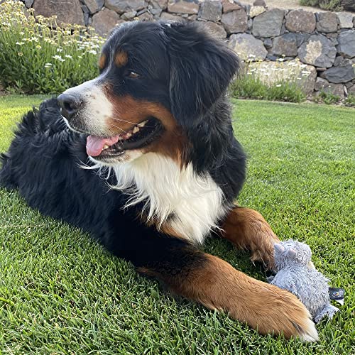 Spunky Pup Hippo With Ball Squeaker Dog Toy | Cuddle Crinkle Crunching Sound And Squeaky Dog Toys | Nylon Reinforced Plush Toy | Toss Fetch And Play | Furry Friends Collection | For All Size Breeds #TOP2