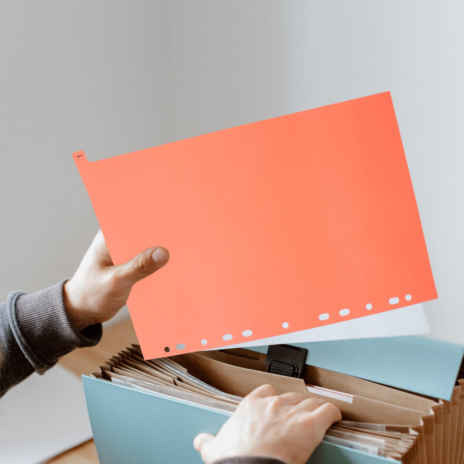 切切ページ 楽天市場】プログレード 快速千切り器 PG-618 切り幅 約2mmスライサー