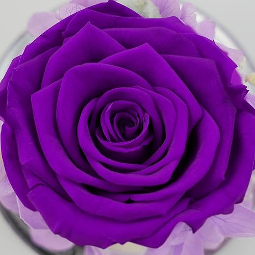 Miniatura 3 de Figuras de ángel de rosas para mujeres regalos de ángel de cristal real preservado para su abuela mamá figuras de ángeles regalos únicos de San