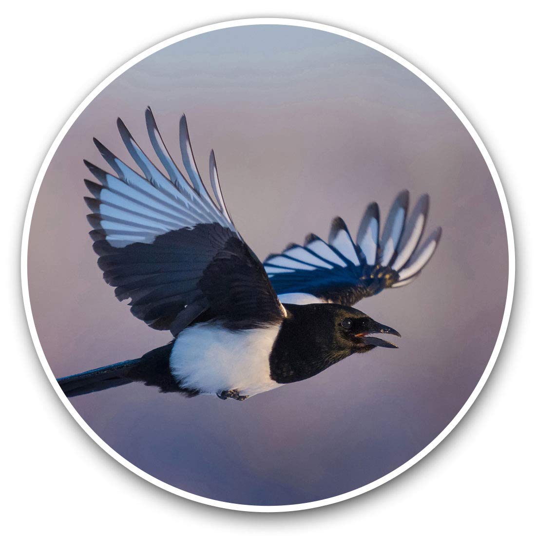 Vinyl Stickers (Set of 2) 7.5cm - Flying Eurasian Magpie Bird #3454
