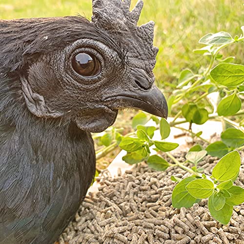 hühnergold® ProNatur Hühnerkorn 10 kg – Bio Premium Hühnerfutter, optimal mineralisiert, mit Bierhefe & Oregano-Öl, Alleinfutter für gesunde & Vitale Hühner, gentechnikfrei & ohne Palmöl