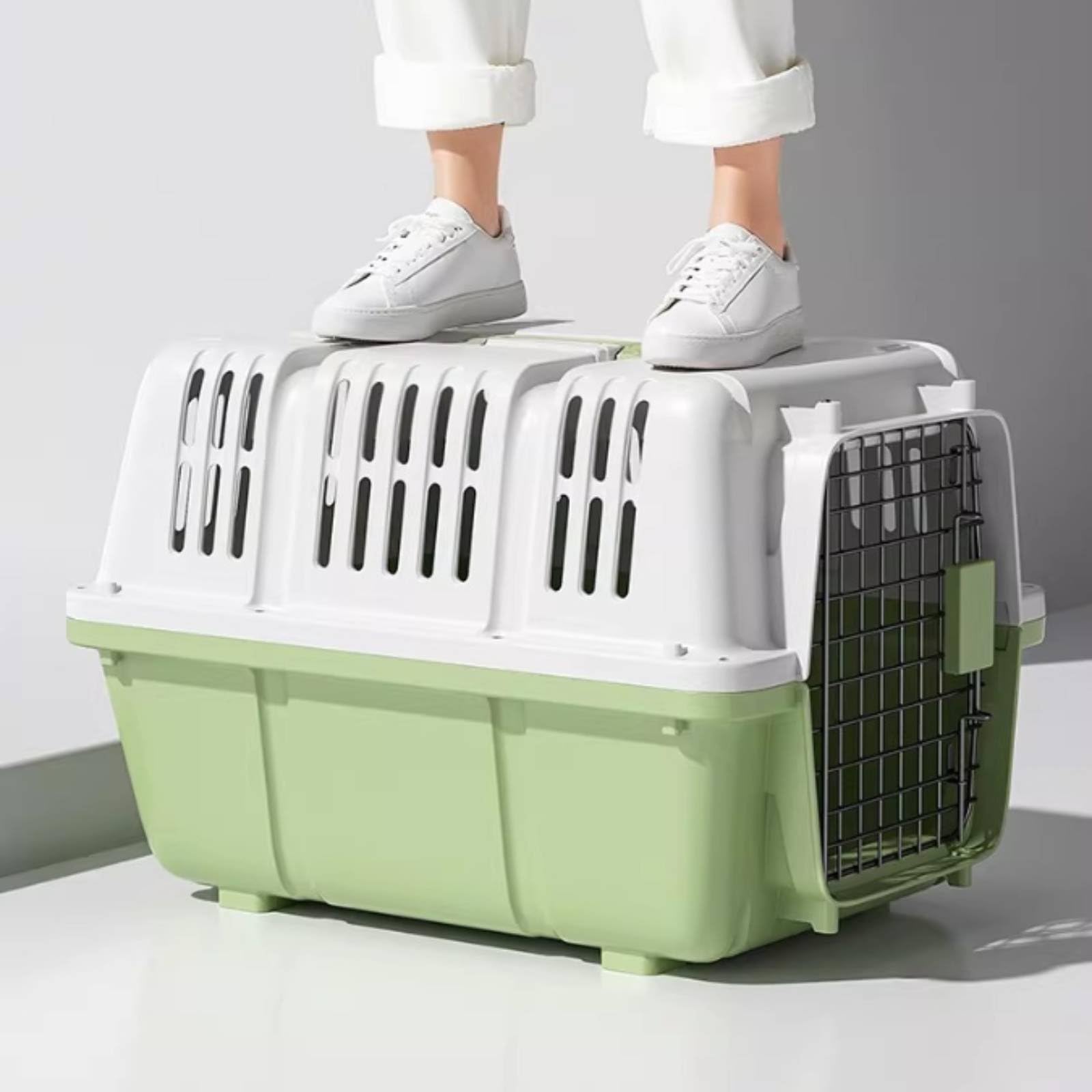 predolo Transportín para Mascotas Porta Mascotas, Morado Taro, Mediano para Mascotas De hasta 20 Jin