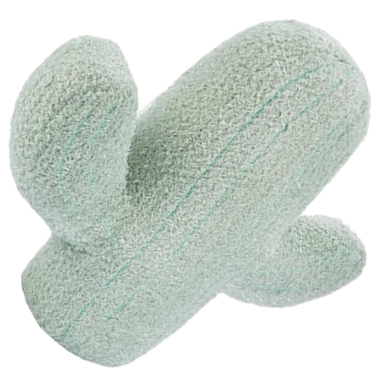 Coussin cactus doux et léger oreiller de décoration pour canapé de salon