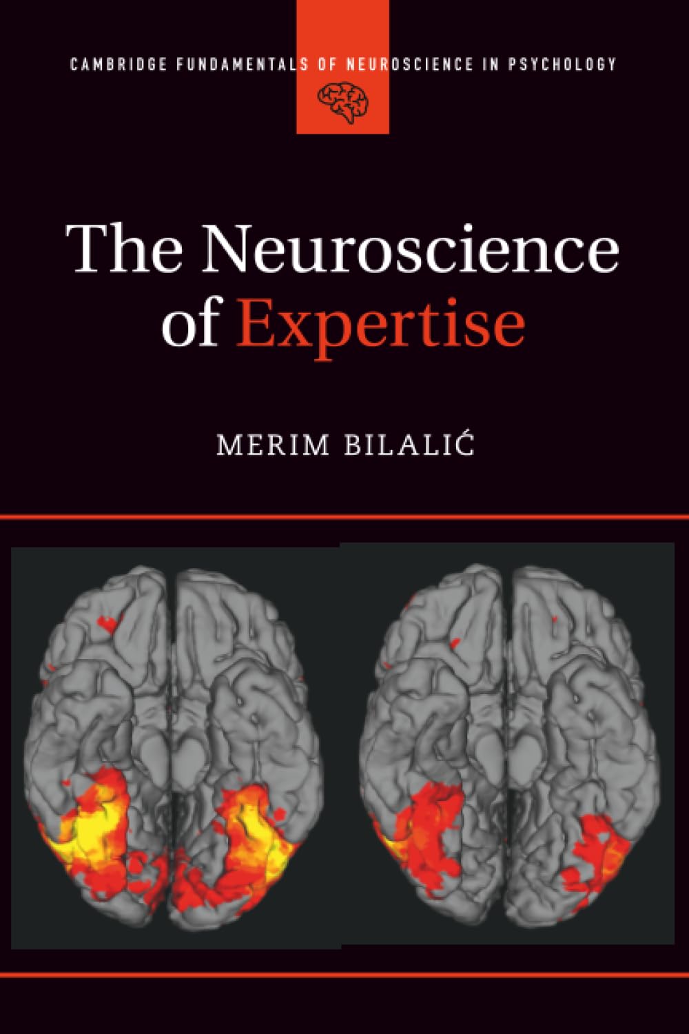 The Neuroscience of Expertise (Cambridge Fundamentals of Neuroscience in Psychology)