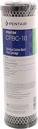 Pentek Filtro de carbono 255679-43