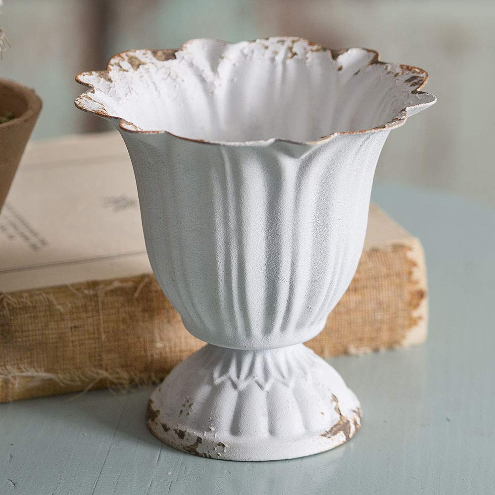 CTW Home Collection Small Scalloped Cup Kitchen Supplies, 4"Length 3.75"Height, White