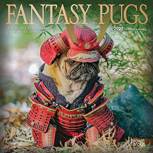 Fantasy Pugs 2020 7 x 7 Inch Monthly Mini Wall Calendar with Foil Stamped Cover by Wyman, Funny Animals