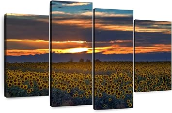 Elephant Stock - Colorado Sunflower Field Wall Art - Horizontal Multi Panel Canvas - 4 Piece Living Room Wall Decor - Photography Nature Multi Piece Wall Art - Blue And Orange Decor - 68" x 42"
