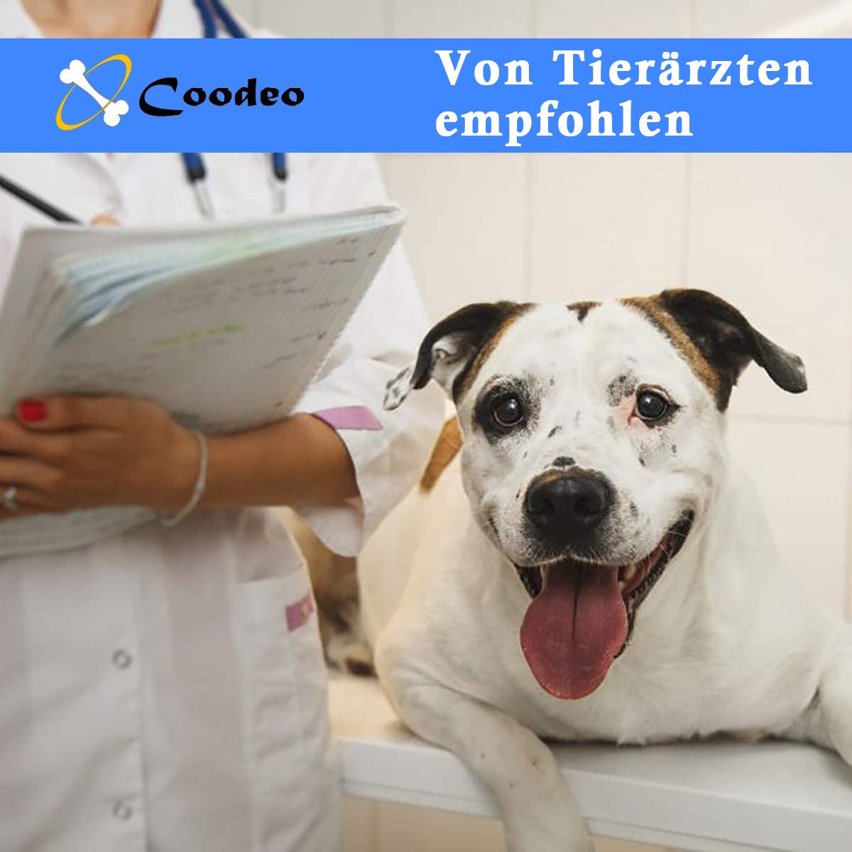 Coodeo Hundeliftgeschirr, Haustierunterstützung & Rehabilitation Sling Lift Verstellbare Gepolsterte atmungsaktive Gurte für Alt, Gelenkverletzungen, Arthritis, Stabilitätsverlust Hunde(Schwarz, 2XL)