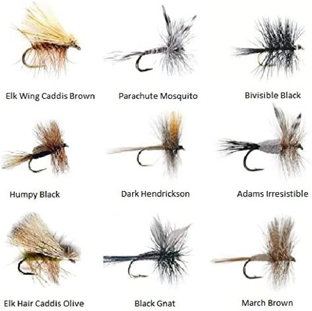 ルアー・フライ TROUT FLIES: PROVEN PATTERNS Fly Fishing Flies - Guide's TOP Assortment - NORTHWEST (31