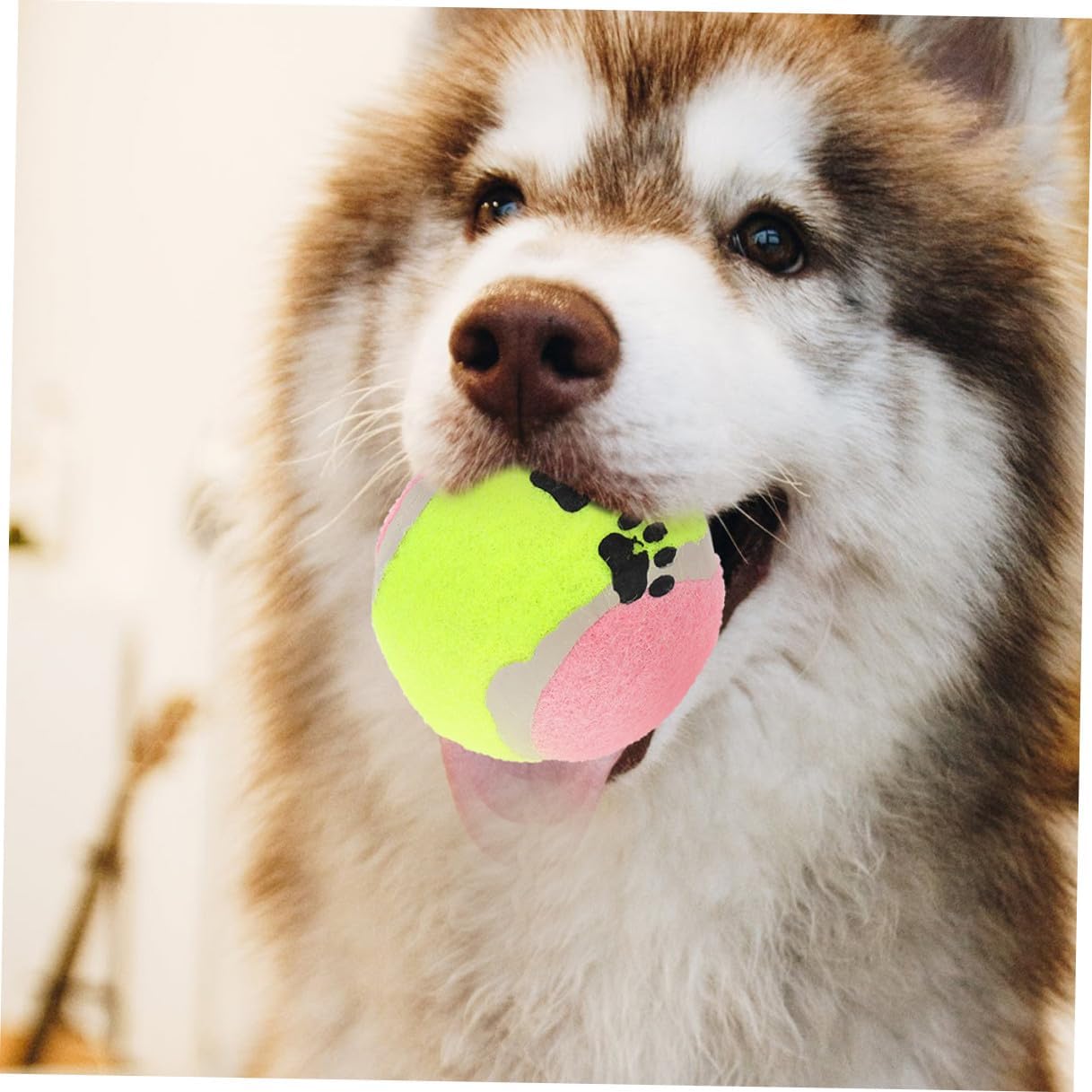 SUPVOX 16pcs Small Rubber Dog Balls for Aggressive Chewers, 7cm Diameter Plush Tennis Ball for Dog Training and Enrichment Random Color