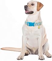 Vista 5 de Collares para perros con hebilla ajustable para lindas, hembras, hembras, machos, collar especial suave y elegante para perros con diseño de abeja