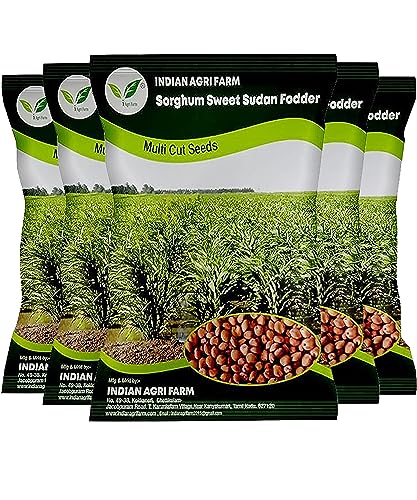 Image of Iagrifarm Sorghum Sweet Sudan Grass Fodder Seeds - 5 Kg - Multi Cut Fodder Seeds For Fodder Cultivation