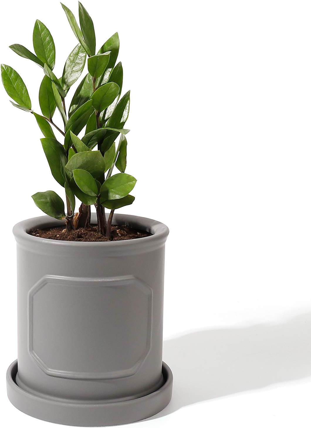 POTEY 6.2 Inch Grey Planter Pots for Plants Indoor - Cylinder Flower Planters Bonsai Container with Drainage Hole & Saucer for Modern Home Decor 050203, Plant NOT Included