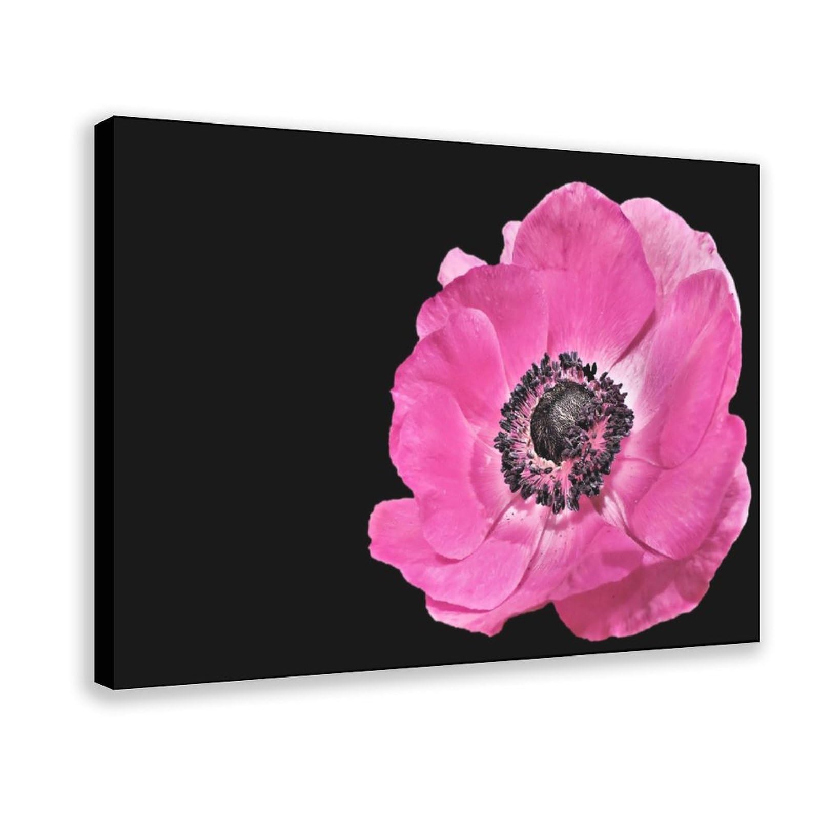 MAITA PRODUCTS Anemone Flower Home Decor Posters Paintings Wall Art Colorful Canvas Print Living Room Bedroom Office Bathrooms
