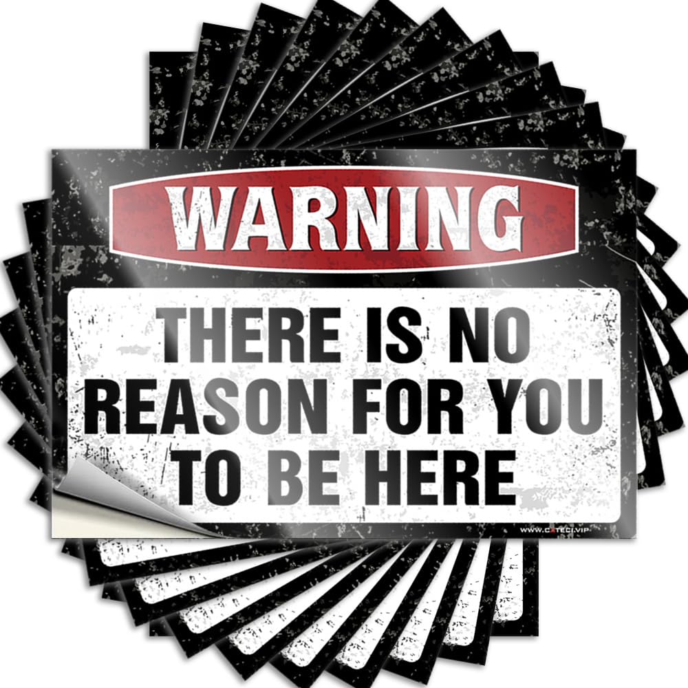 Golden Decals, Emo Room Decor Case There is No Reason for You to Be Here | Funny Quote Car Decals(6X9CM)