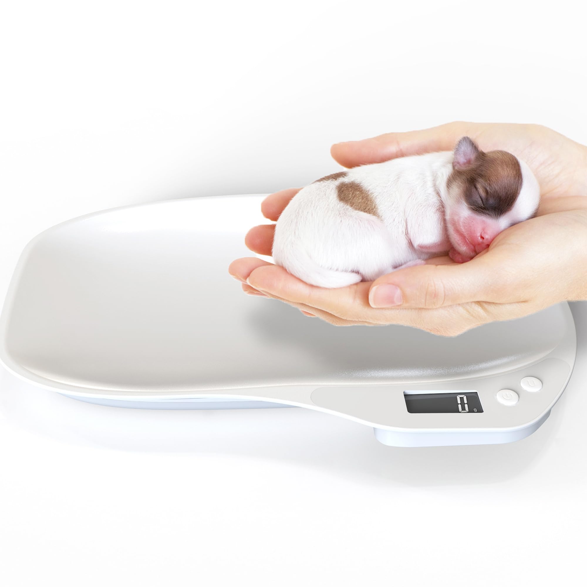 Báscula para animales pequeños, Básculas de 15 kg, balanza digital para mascotas, Mini peso para perros con 4 modos de pesaje (kg/oz/lb/ml) para gatos pequeños, perros, hámster, alimentos, cocina