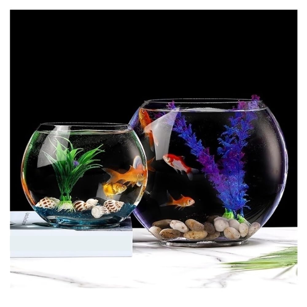 Aquarium Kreatives ovales Glas-Aquarium for kleine Goldfische, transparent, als Dekoration for Zuhause oder Schreibtisch.(13.5cm)