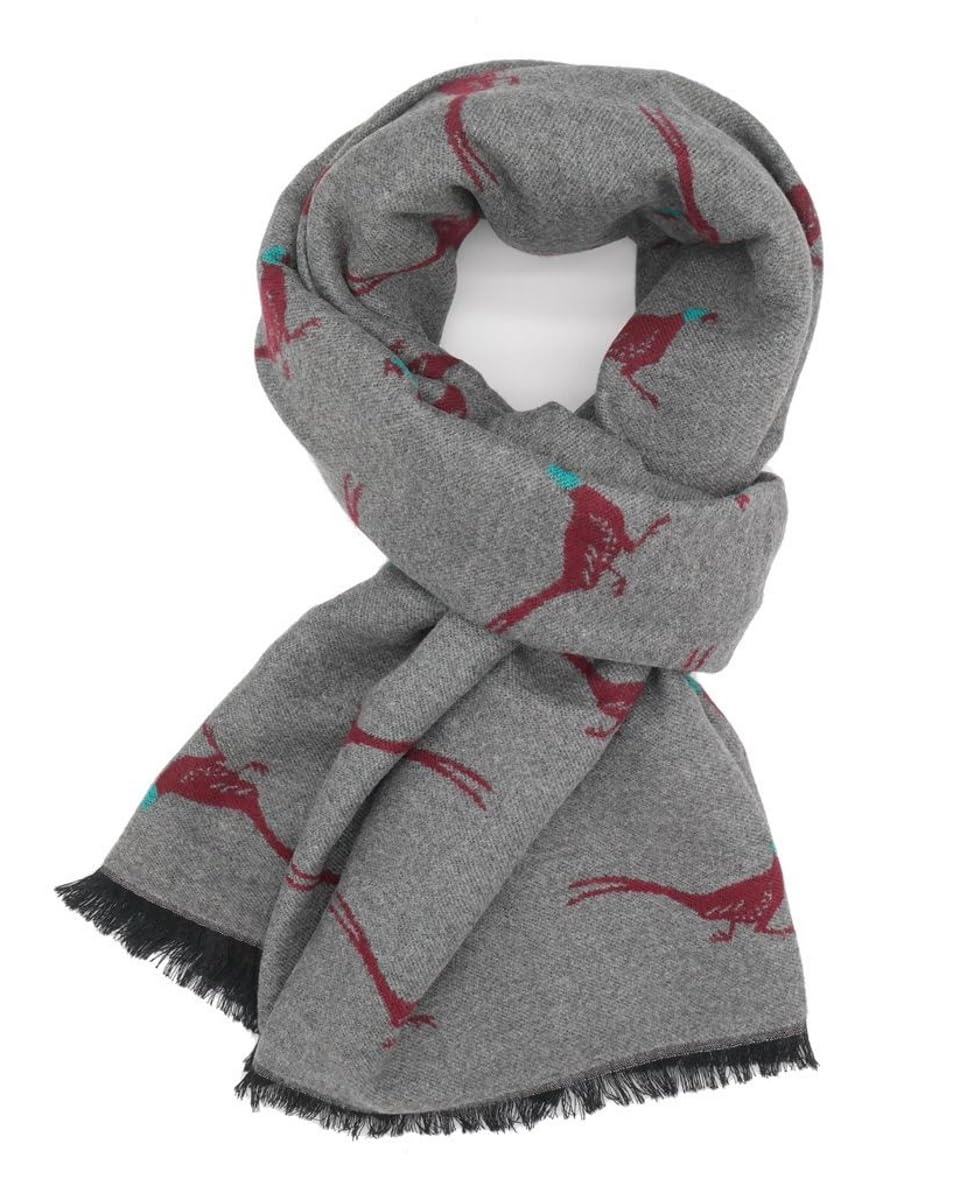 Lilyrosa Women's Grey Red Pheasant Winter Scarf Reversible Cosy Warm Blanket Shawl Scarfs Navy Blue Green Pink (Grey Red)