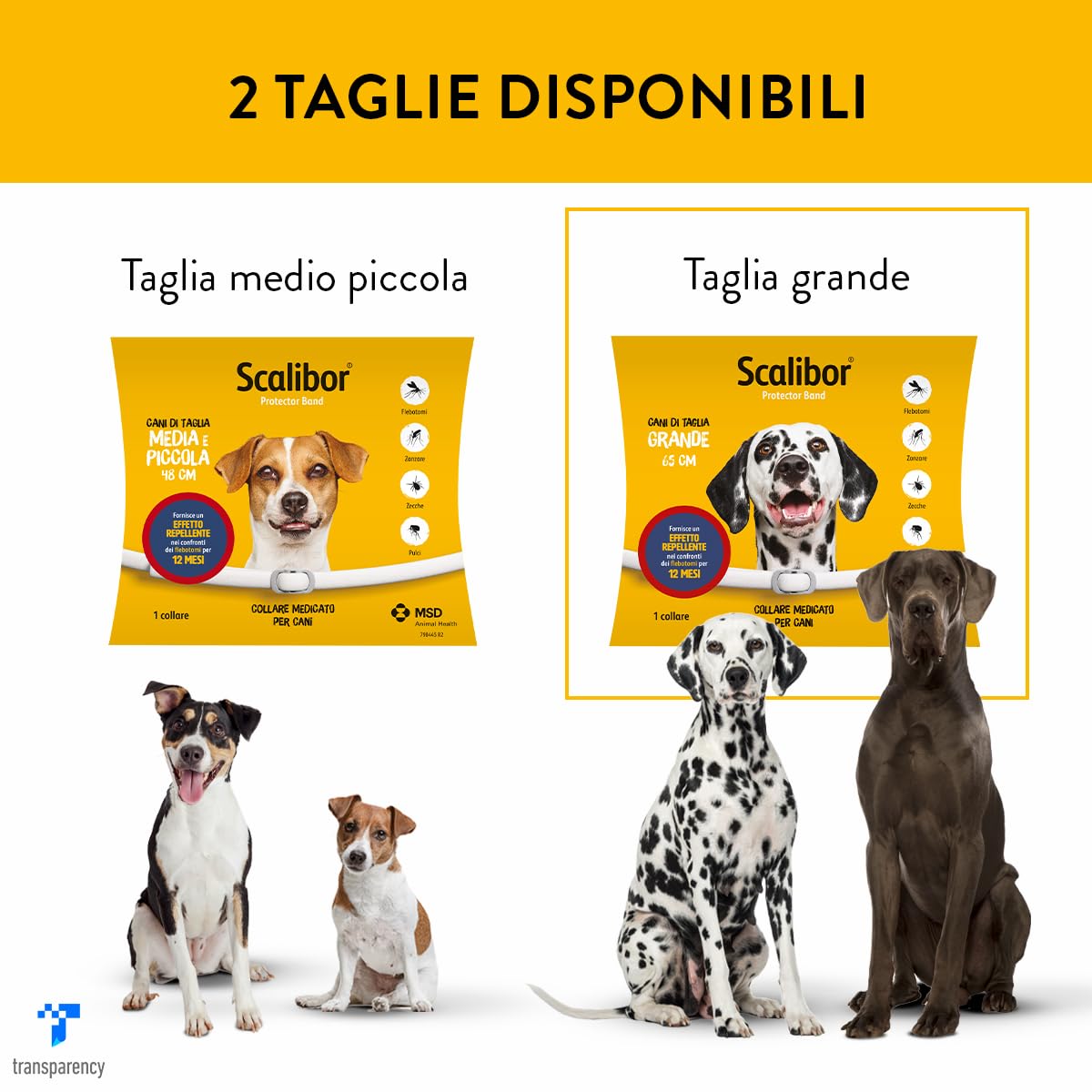 Scalibor Collare, 65 cm - MSD Animal Health