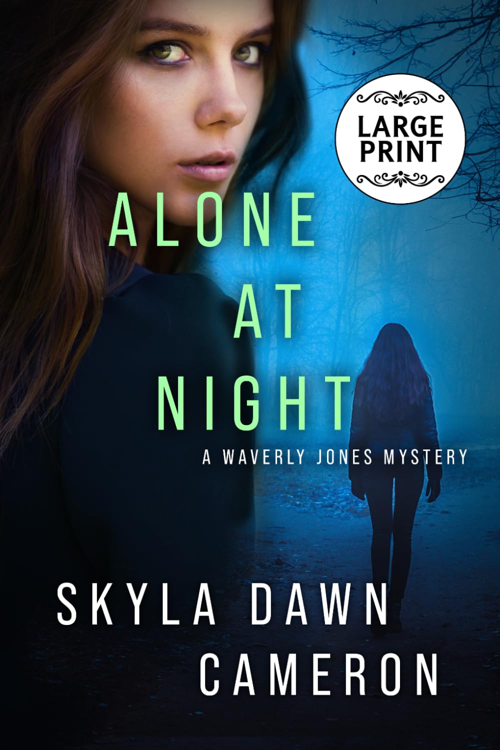 Alone at Night: A Waverly Jones Mystery (Large Print Editions)