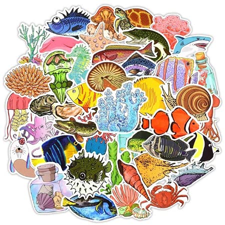 Winesfromspain Lot de 50 autocollants + film de protection pour câble Cover