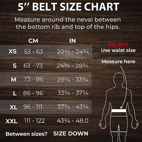 Murgs Weight Lifting Belt, Black, Medium - Image 2