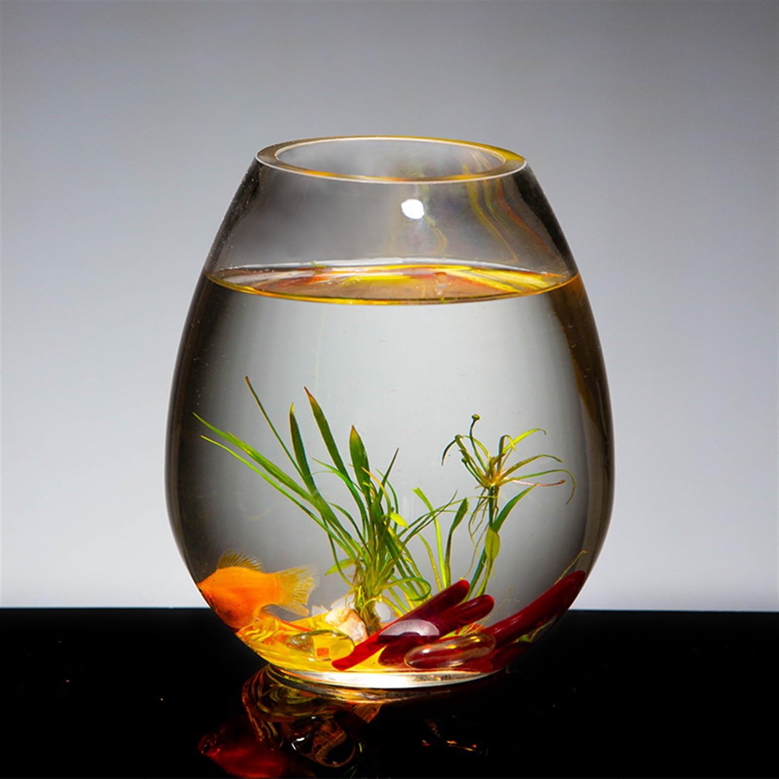 Petit aquarium en verre pour poissons rouges de combat, décoration de salon
