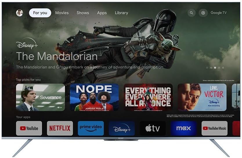 Orqaga view of Sharp 4T-C65FL6EX TV showing ports